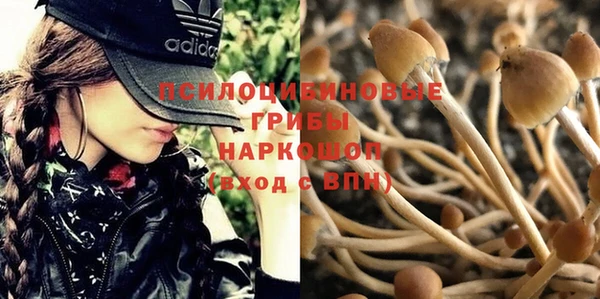 молекула духа Абинск