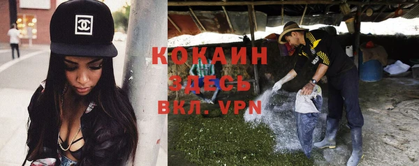 крисы Абдулино