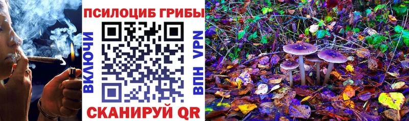 Псилоцибиновые грибы Magic Shrooms Камышлов