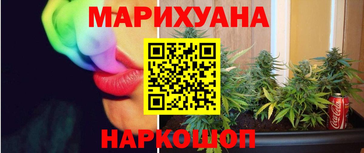 Каннабис сатива  Каннабис гибрид  Каннабис LSD WEED  Камышлов  Канабис план  Вход с VPN 